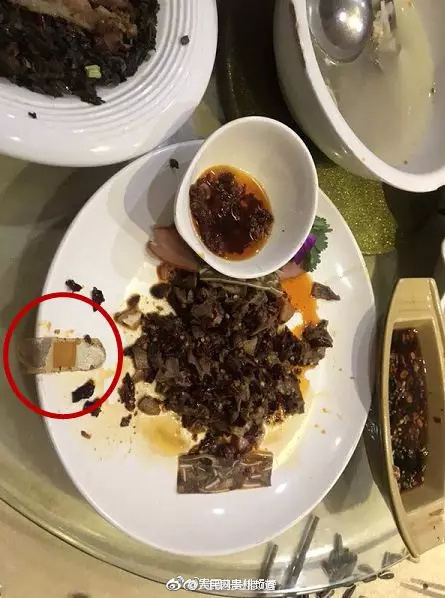 怪物猎人崛起曙光怎么进