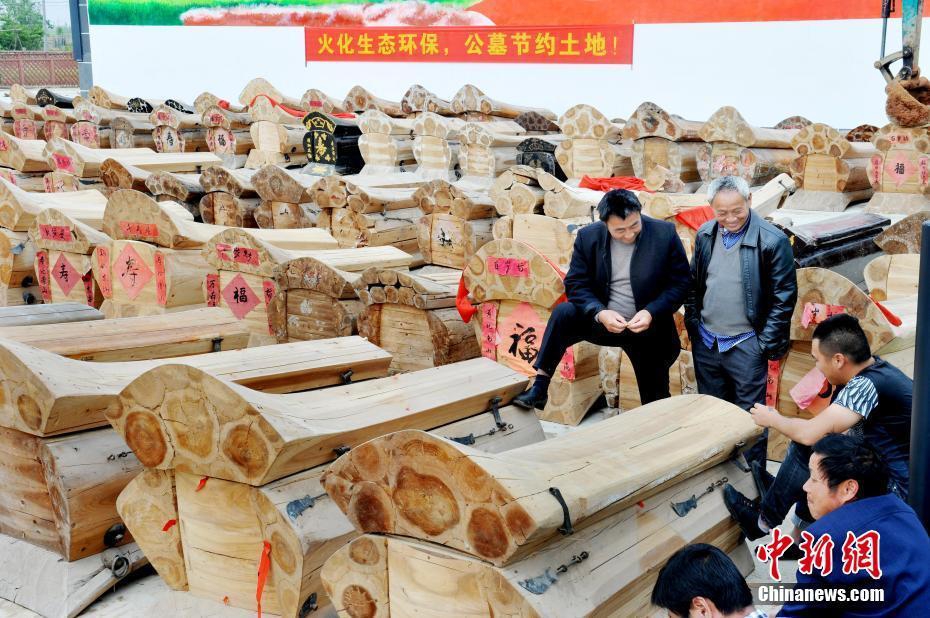 宝可梦朱紫班吉拉抓取位置在哪
