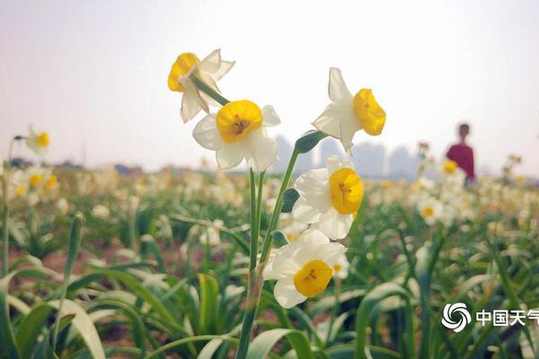 Valheim大麦和亚麻适合种在什么地方