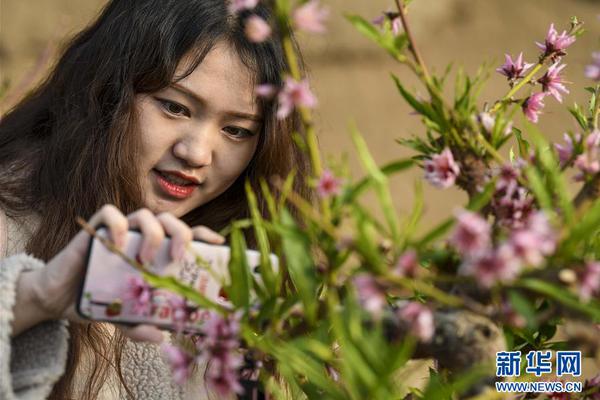 再刷一把赛西莉人物有什么特点