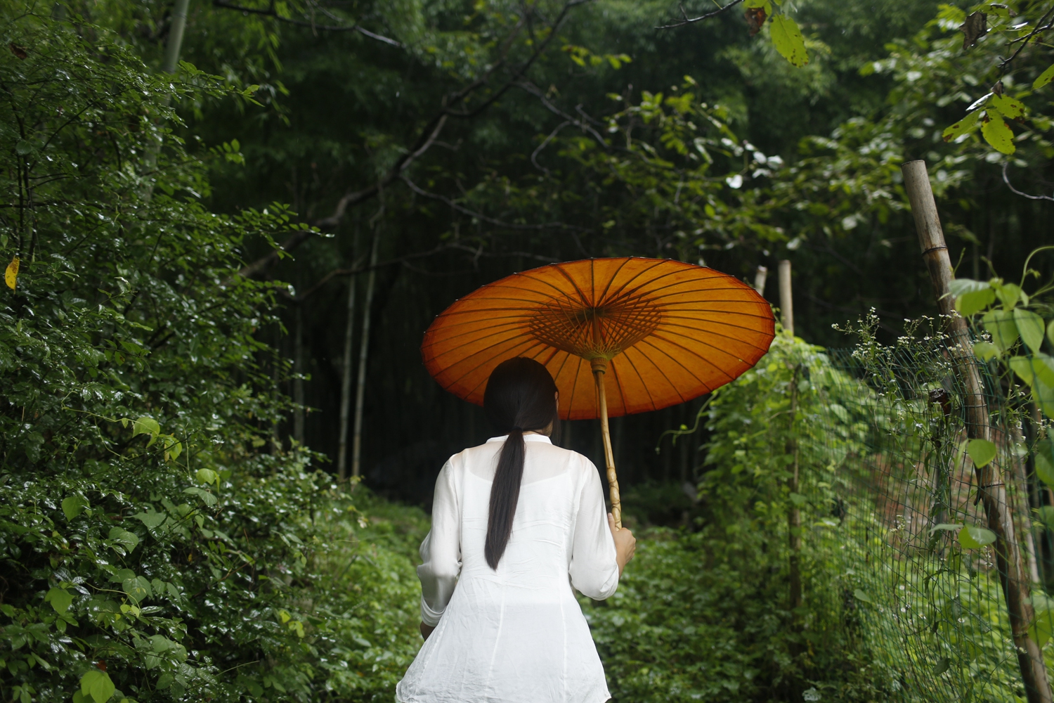 暗黑破坏神2冰火法加什么点